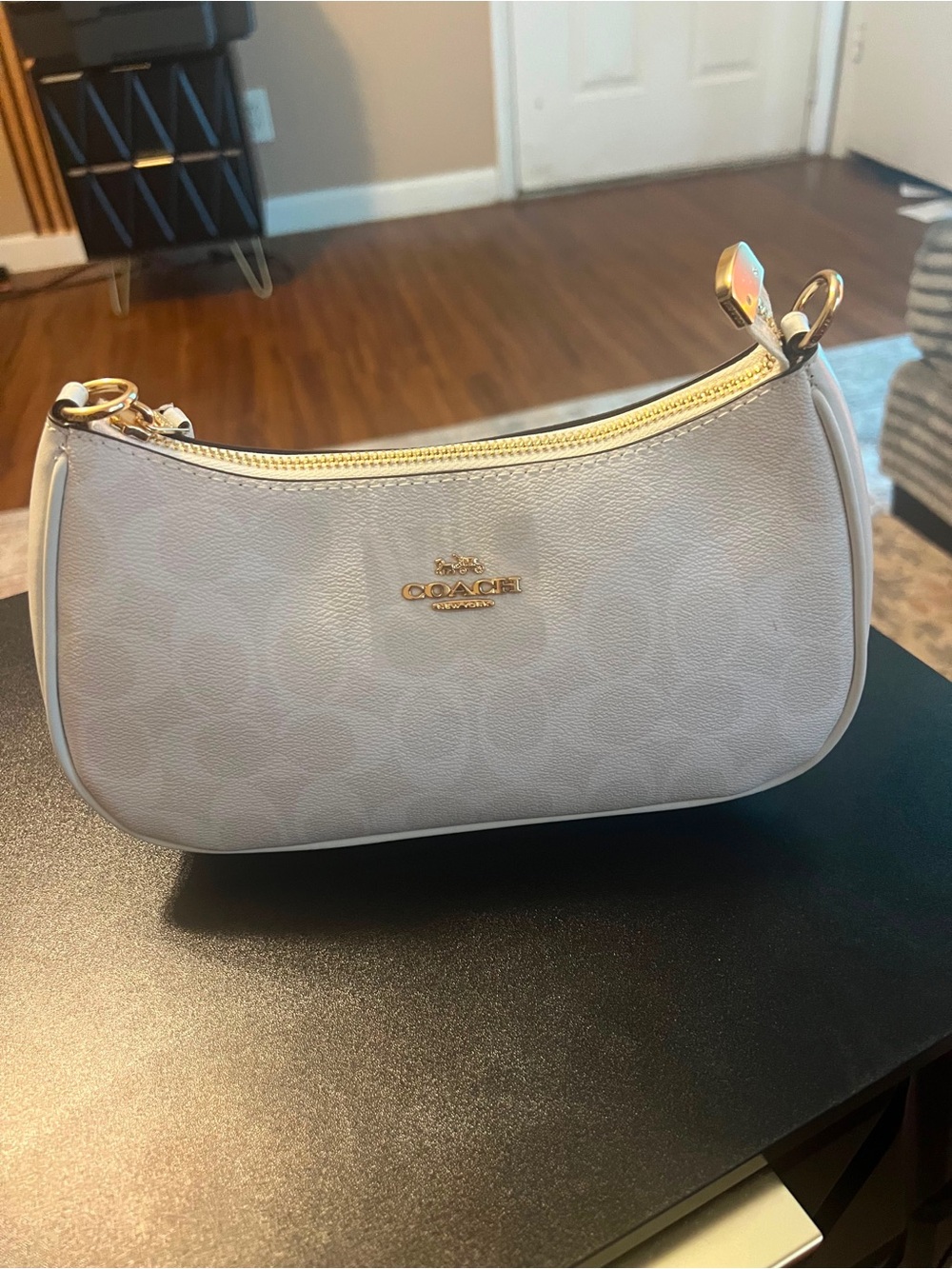 Coach Mini Zip Shoulder Bag in Light Gray with Gold Hardware